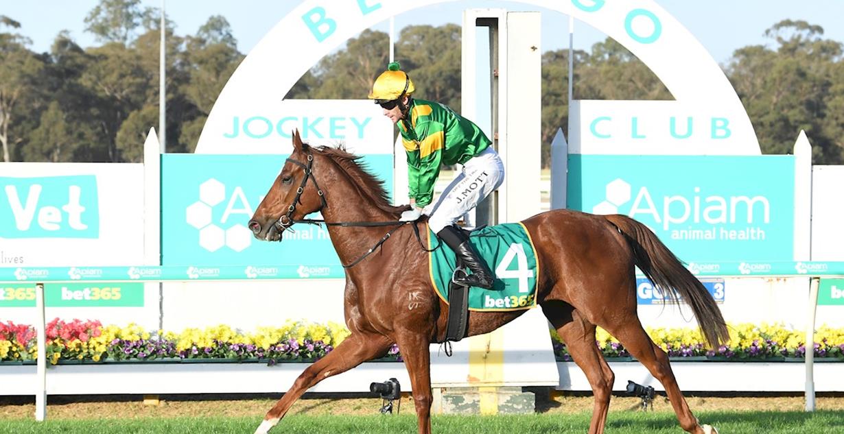 Regal Zeus - Bendigo 12th April 2025